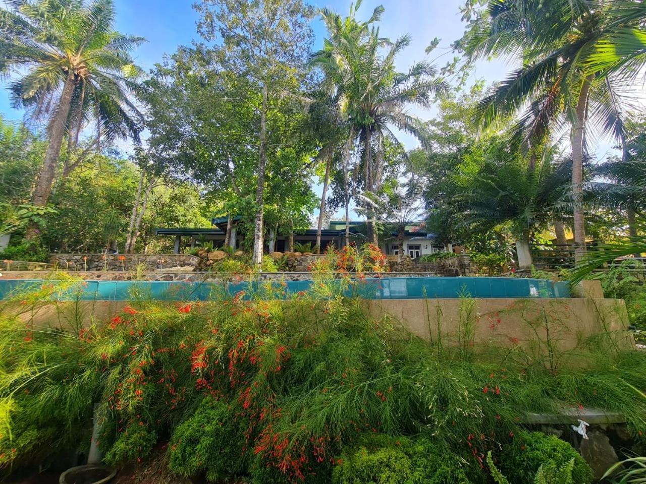 วิลลา เบิร์ดเล้ค Hotel ฮิกคาดูวา ภายนอก รูปภาพ