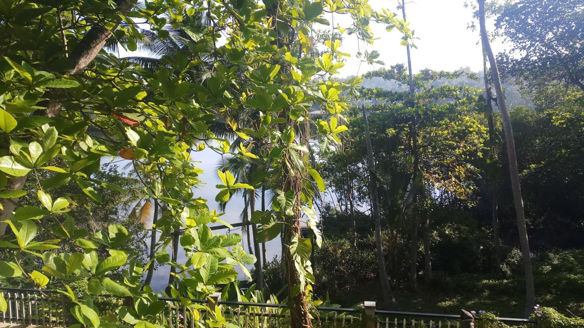 วิลลา เบิร์ดเล้ค Hotel ฮิกคาดูวา ภายนอก รูปภาพ