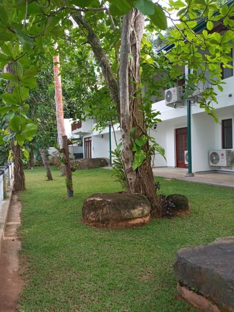วิลลา เบิร์ดเล้ค Hotel ฮิกคาดูวา ภายนอก รูปภาพ